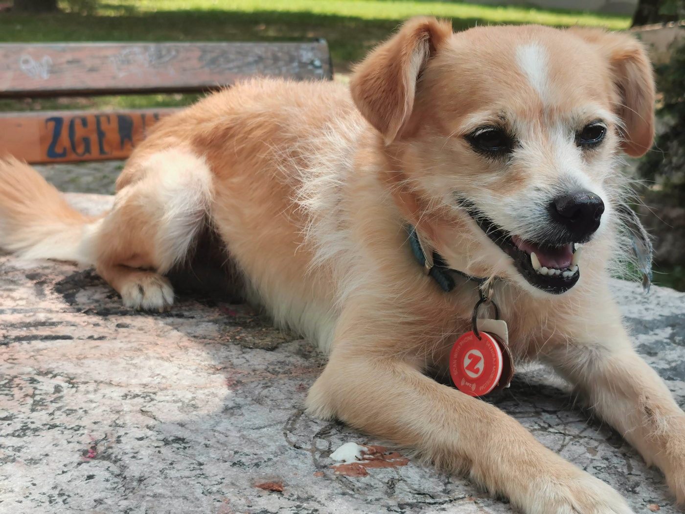 Privjesak u stvarnom okruženju